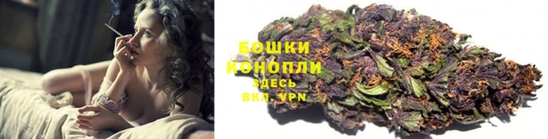 гашик Беломорск