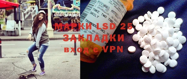шишки Сатка