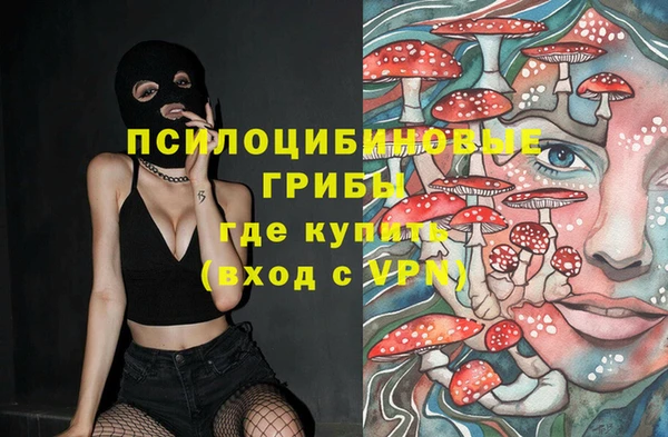 а пвп мука Белокуриха