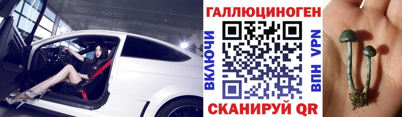 Псилоцибиновые грибы GOLDEN TEACHER Севск