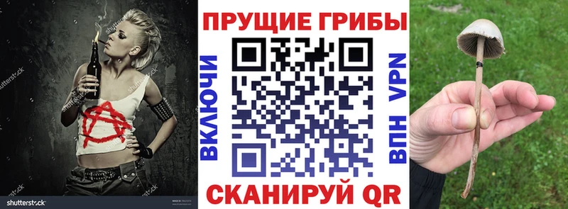 Галлюциногенные грибы GOLDEN TEACHER  Севск 